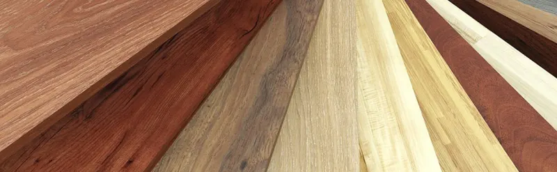 Les essences de bois les plus adaptées à la construction : comment choisir selon l’usage ?