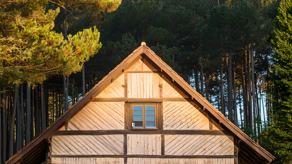 Les Landes de Gascogne : quand le pin maritime a façonné toute une architecture